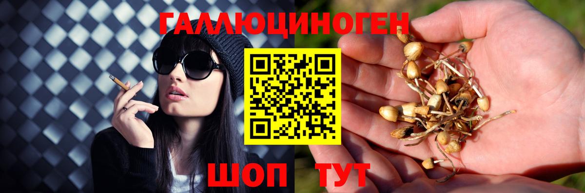 Галлюциногенные грибы прущие грибы Саянск